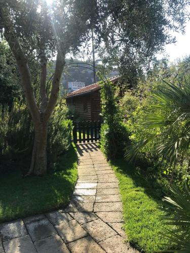 Un jardín fuera de Chalet Lidia