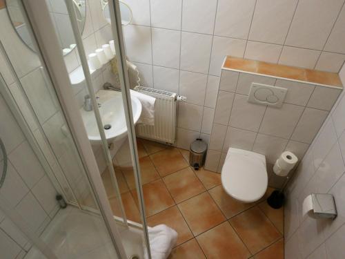 a small bathroom with a toilet and a sink at Hotel - Restaurant Hirschen - Werneths Landgasthof beim Europa- Park Rust in Rheinhausen