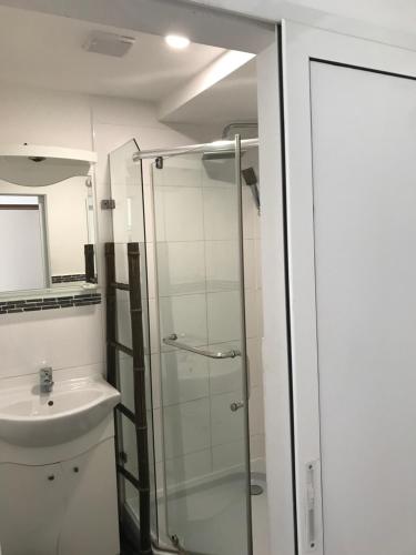 a bathroom with a shower and a sink at Pension Haus Baron 2 Friedrichsfeld in Edingen-Neckarhausen