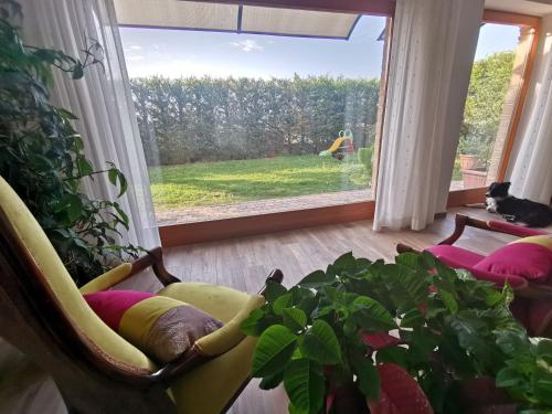 a living room with a window and a plant at Residenza Sant'Angelo in Citta' Sant'Angelo