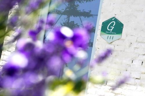 a wall with purple flowers and a sign on it at Gîte Biafaux in Saint-Denis