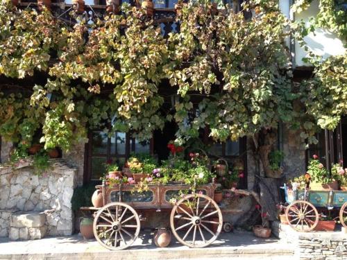 a cart filled with plants in front of a building at Gurko Hotel in Veliko Tŭrnovo