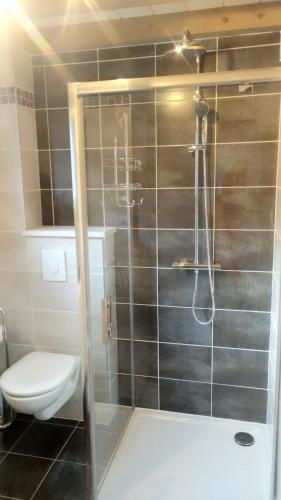 a bathroom with a toilet and a shower at les charmes du lac Sauna et Spa in Gérardmer