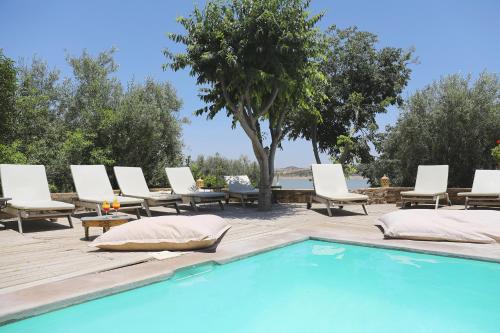 a pool with chairs and a table and a tree at Le Petit Hôtel du Flouka in Lalla Takerkoust