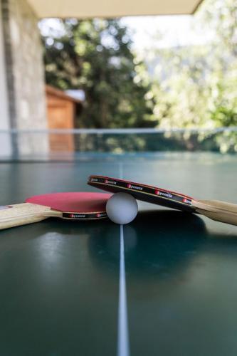 a ping pong racket and ball on a table at Frühstückspension Rötelstein in Ramsau am Dachstein