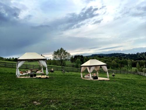 two gazebos in the middle of a field at Casa Bradet in Întorsura Buzăului