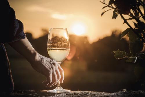a person holding a glass of wine at sunset at Jordan's Untermühle in Köngernheim