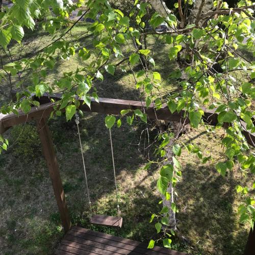 a swing in the shade of a tree at Vegetarian House Jamoo in Yamanakako