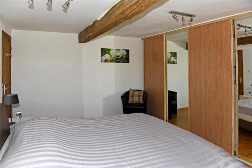 1 dormitorio con 1 cama grande y espejo en Etang Lassalle en Lamazère