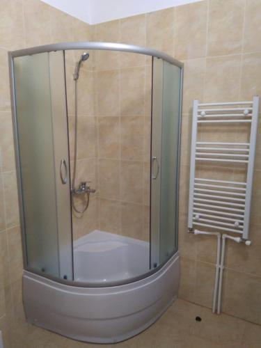 a shower with a glass door in a bathroom at Lotca Fermecată - Lotka Fermecată in Cazasu