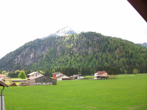 a large green field with a mountain in the background at Das Landhaus am See in Achenkirch