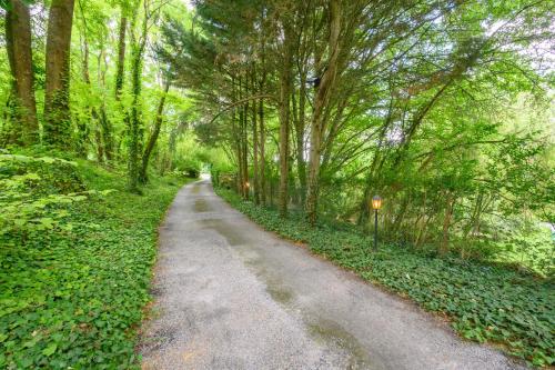 a dirt road in the middle of a forest at B&B Au bois dormant chambres d hotes in Tillé
