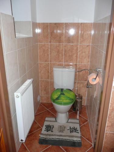 a bathroom with a toilet with a green seat at Penzion Lipina in Slatiňany