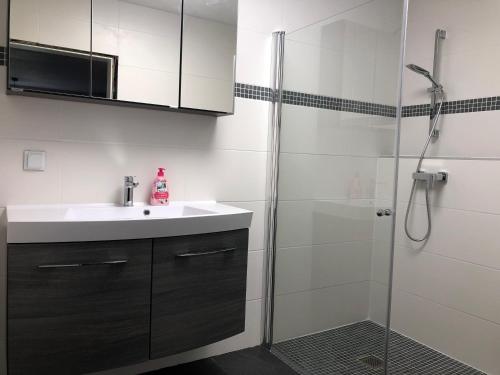 ein Bad mit einem Waschbecken und einer Dusche in der Unterkunft Moderne Pension vonBartsch mit Ladestation in der sächsischen Schweiz in Struppen