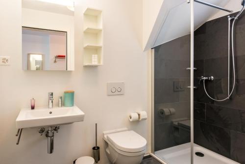 a bathroom with a toilet and a sink and a shower at Legendär Zermatt in Zermatt