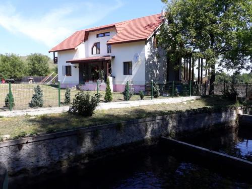 una casa junto a un río con una casa en La Păstravaria Cerna, en Rîu de Mori