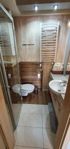 a bathroom with a toilet and a sink at Apartament Eve in Giżycko