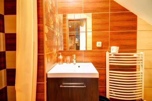 a bathroom with a sink and a mirror at Chata pod Mravenečníkem in Loučná nad Desnou