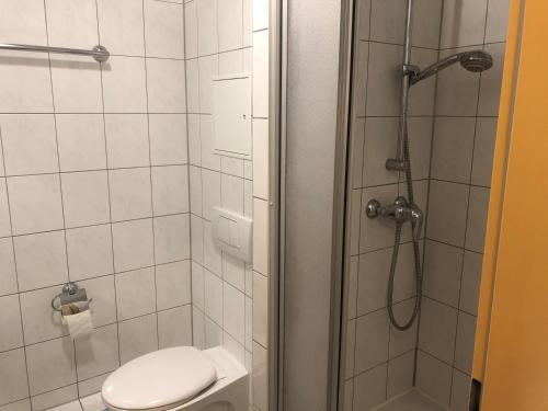 マインツにあるAppartement Mainz Universitätのバスルーム(シャワー、トイレ、洗面台付)