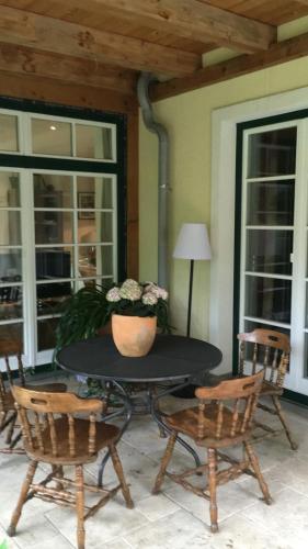 a patio table with chairs and a potted plant on it at Landhaus Roidergütl in St. Wolfgang