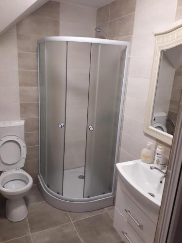 a bathroom with a shower and a toilet and a sink at La pastravaria Cerna in Râu de Mori