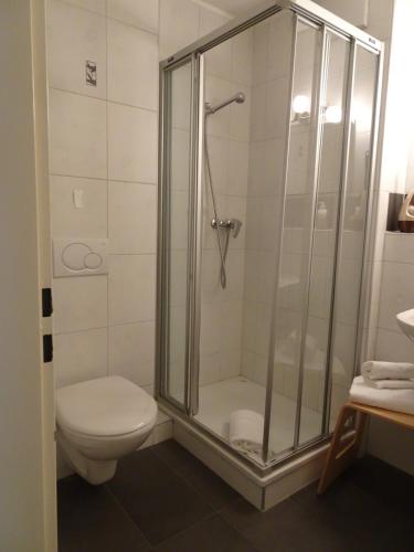 ein Bad mit einer Dusche und einem WC in der Unterkunft Fortuna 216 und 116 in Leukerbad