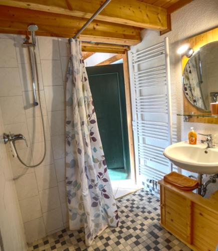 ein Bad mit einer Dusche und einem Waschbecken in der Unterkunft Hof Marienberg, 56340 Osterspai, Deutschland Wanderhütte in Osterspai