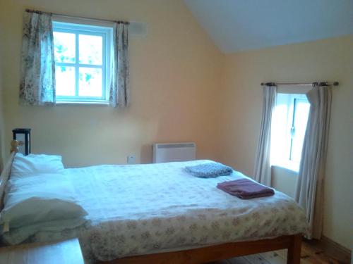 a bedroom with a bed and a window at Harmony Hall Veganic in Kilkenny