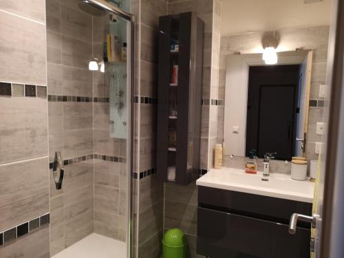 La salle de bains est pourvue d'une douche, d'un lavabo et d'un miroir. dans l'établissement Appartement Fontargente, à Ax-les-Thermes
