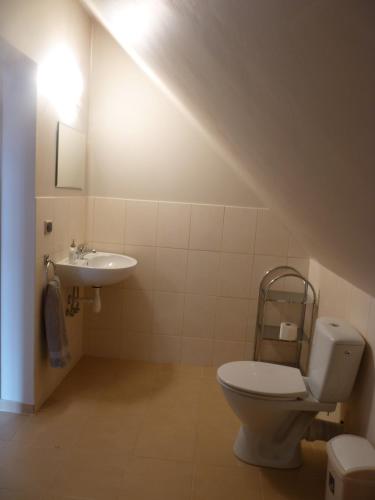 a bathroom with a toilet and a sink at Sloneczna Weranda in Wydminy