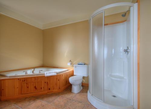 a bathroom with a tub and a toilet and a shower at Domaine Frais Air in La Malbaie