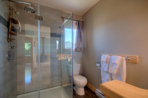 a bathroom with a toilet and a glass shower at Domaine Frais Air in La Malbaie