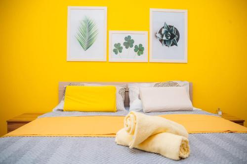 um quarto com uma cama com uma parede amarela em Studio Hana em Novi Sad