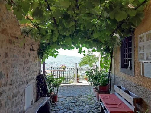 a patio area with a bench and some plants at Casa Vacanze Le Muse in Pieve Fosciana