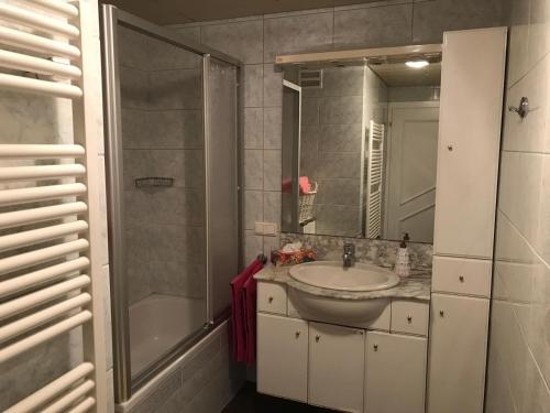 a bathroom with a sink and a shower at Biobergbauernhof Bergzeit Apartment in Goldegg in Goldegg