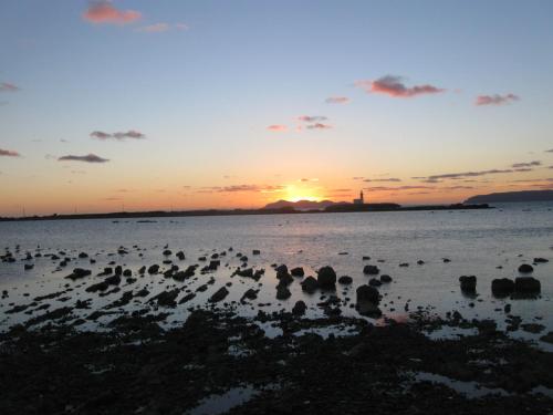 a group of birds in the water at sunset at Hotel Edelweiss in Erice