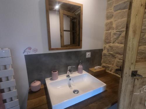 ein Bad mit einem Waschbecken und einem Spiegel in der Unterkunft chambres d'hôtes le clos marty in Sébrazac