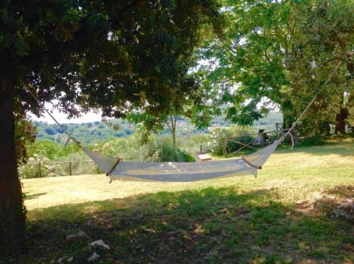 a hammock hanging from a tree in a field at Agriturismo Podere Luchiano in Amelia