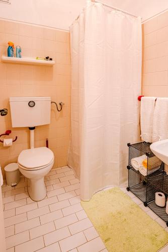 a bathroom with a toilet and a shower and a sink at Bela Vista in Viana do Castelo