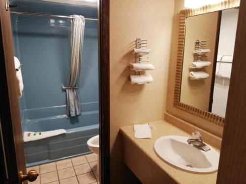 W łazience znajduje się umywalka, toaleta i lustro. w obiekcie The Foothills Inn w mieście Rapid City