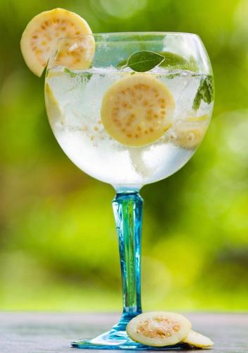 Bebidas en Hotel Zentik Project & Saline Cave