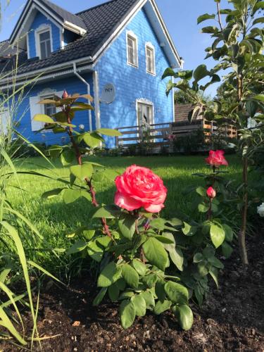 Fotografie z fotogalerie ubytování Pensjonat Krainka v destinaci Białowieża