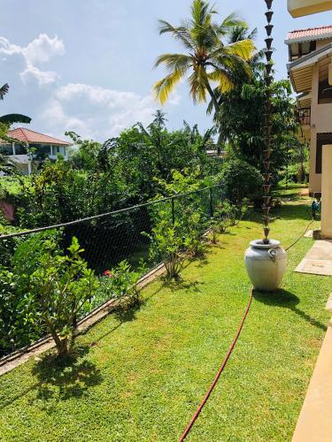 a garden with a palm tree in the grass at Peacock Villa in Mirissa