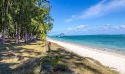 - Vistas a una playa con árboles y al océano en Casa Marina- Flic en Flac - Beach is right in front of the Villa-Just cross the road, en Flic en Flac