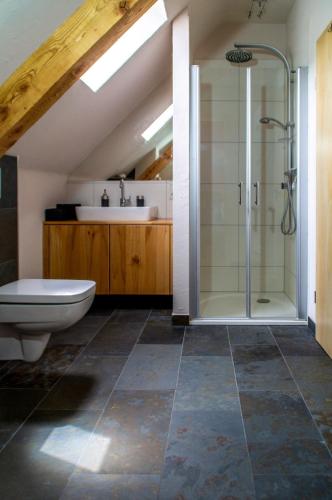 a bathroom with a shower and a toilet and a sink at Moselglück in Sankt Aldegund