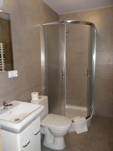 a bathroom with a shower and a toilet and a sink at Pod Brzozami in Sandomierz