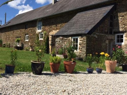 a group of potted plants in front of a stone building at Chez Thomas 7 Route du Monde Ancien in Saint-Georges-dʼAunay