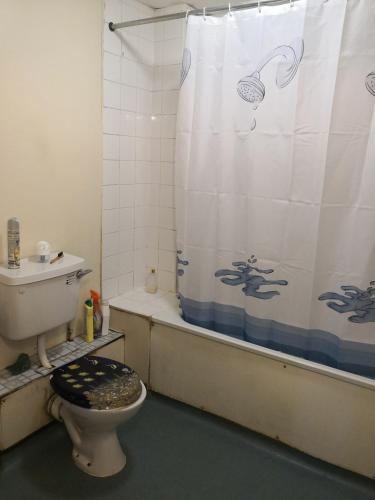 a bathroom with a toilet and a shower curtain at Olympus Apartment in London