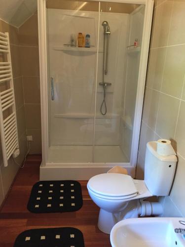 a bathroom with a shower and a toilet and a sink at Chez Thomas 7 Route du Monde Ancien in Saint-Georges-dʼAunay