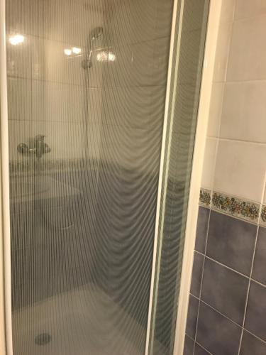 une douche avec une porte vitrée dans une salle de bain dans l'établissement Appartement 238 village LES SALICORNES, à Arles